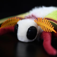 Indian Moon Moth Soft Stuffed Plush Toy