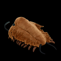 Trilobite Arthropod Soft Stuffed Plush Toy