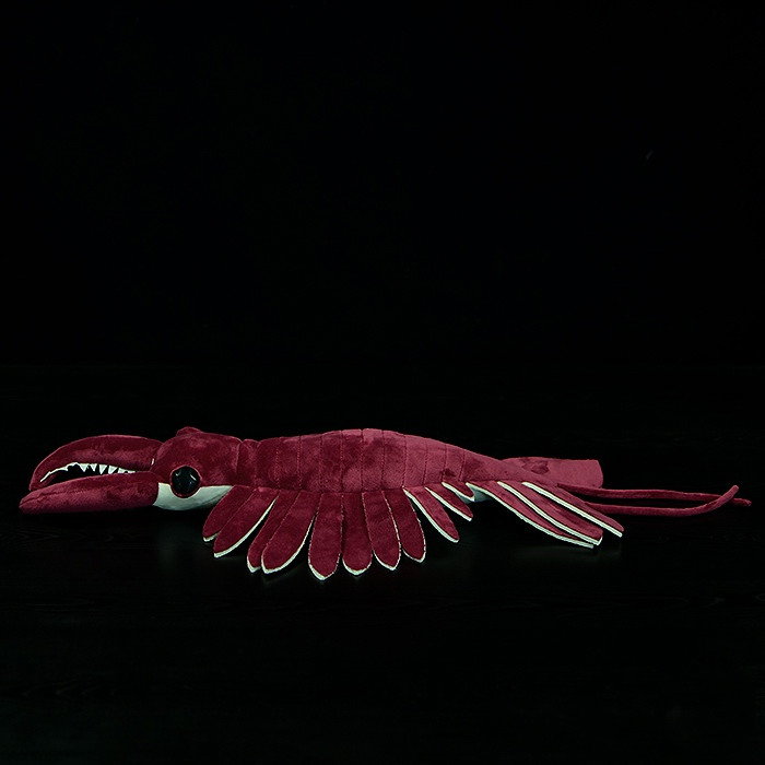 Anomalocaris Arthropod Soft Stuffed Plush Toy