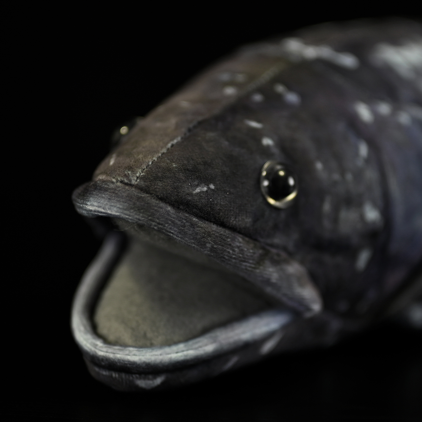 Coelacanth Fish Soft Stuffed Plush Toy