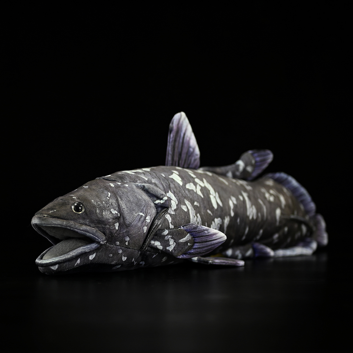 Coelacanth Fish Soft Stuffed Plush Toy
