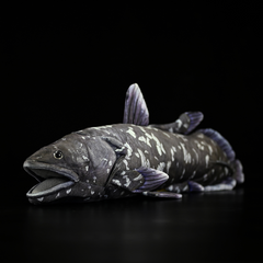 Coelacanth Fish Soft Stuffed Plush Toy