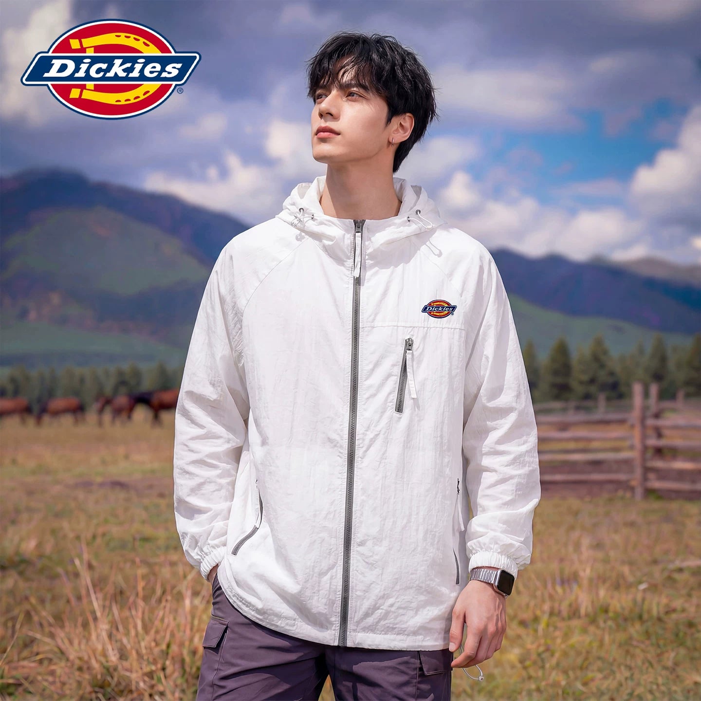 Dickies Cool Summer New Sunscreen Clothes for Men, Loose, Breathable, Simple Zipper Hooded Trendy Brand Top Y