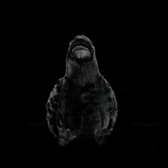 American Crow Bird Soft Stuffed Plush Toy