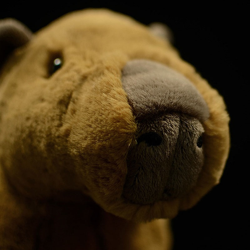 Capybara Soft Stuffed Plush Toy
